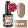 Mini Vernis Semi-Permanent Hybrid Shine Mollon Pro 8ml 