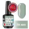 Mini Verniz Semi-Permanente Hybrid Shine Mollon Pro 8ml