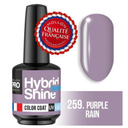 Verniz Mini Semi-Permanente Hybrid Shine Mollon Pro 8ml