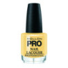 Verniz Clássico 15 ml Mollon Pro