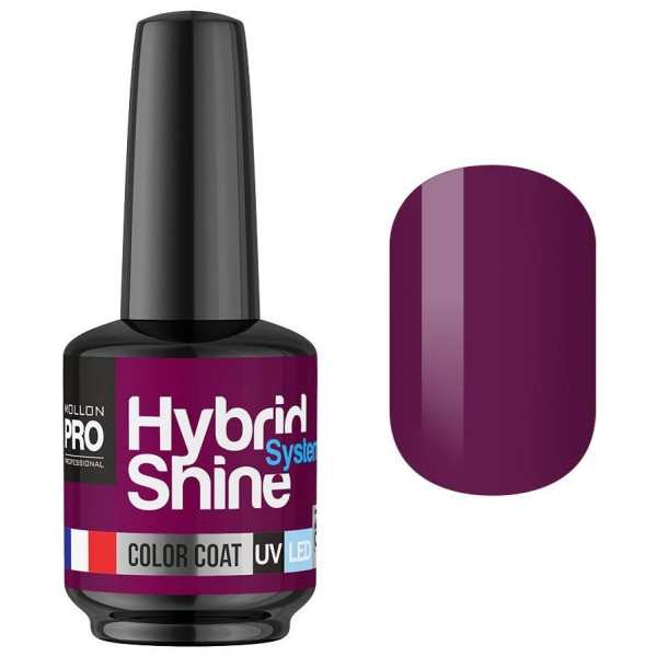 Mini-Smalto semi-permanente Hybrid Shine Mollon Pro Fuchsia 2/07 Mini-Smalto semi-permanente Hybrid Shine Mollon Pro Fuchsia 2/07
