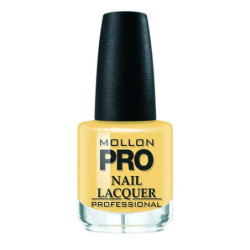 Smalto Classique 15 ml Mollon Pro (per colore) 282 Banana