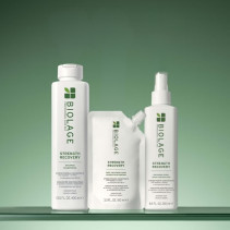 Strength Recovery Biolage - Cheveux abîmés