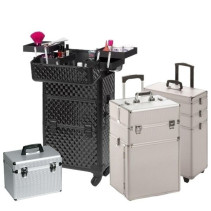 Valise Esthétique Professionnelle