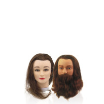 Lehrleiter und Laster Lehrleiter und Laster