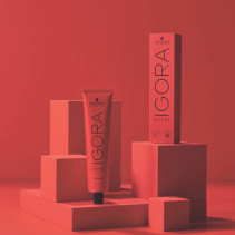 Coloração Igora Royal - Schwarzkopf