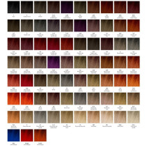 Generik Mechier e cartella colori