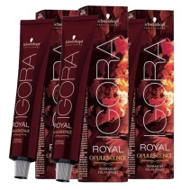 Igora Royal Opulescence coloring - Schwarzkopf