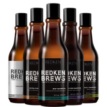 Redken Brews for men
