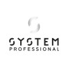 System Professional