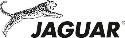 Jaguar Jaguar