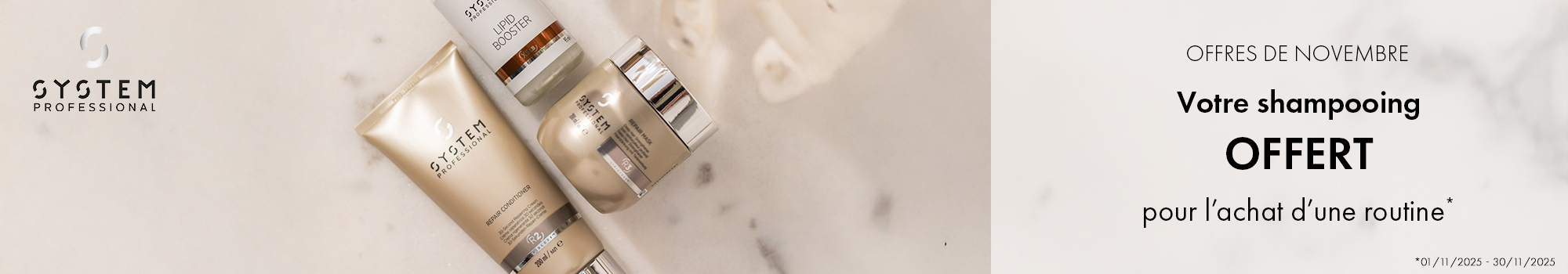 System Professional Novembre 2025 PC