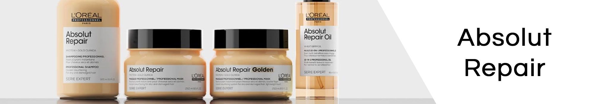 LP_ABSOLUT_REPAIR LP_ABSOLUT_REPAIR
